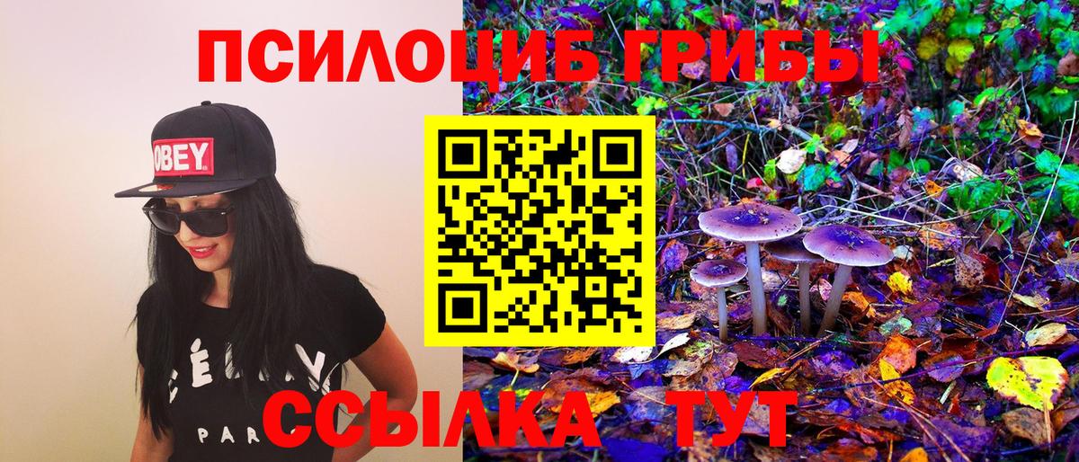 Псилоцибиновые грибы GOLDEN TEACHER Узловая